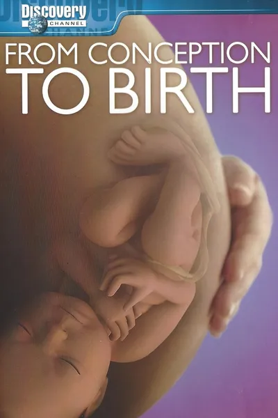 From Conception to Birth