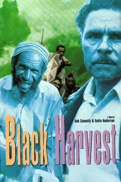 Black Harvest