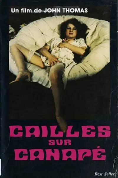 Cailles sur canapé