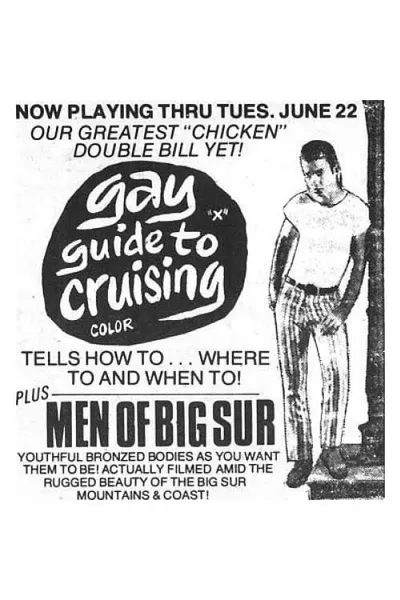 Gay Guide to Cruising