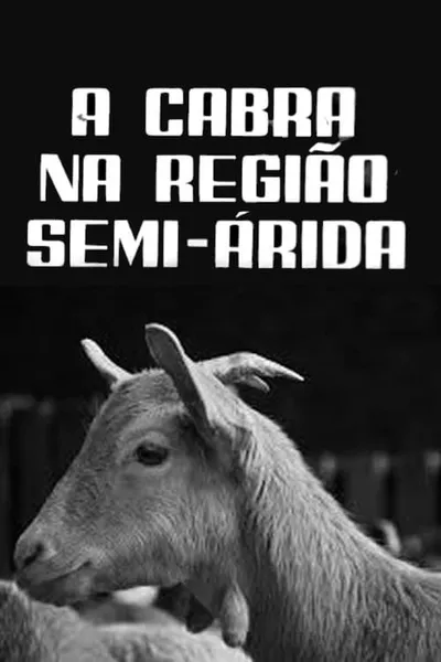 A Cabra na Região Semi-Árida