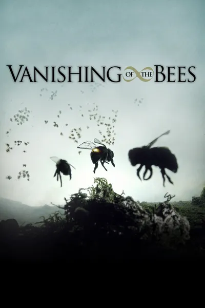 Vanishing of the Bees