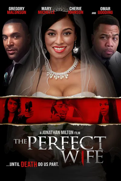 The Perfect Wife