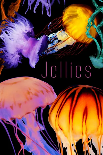 The Art of Nature: Jellies