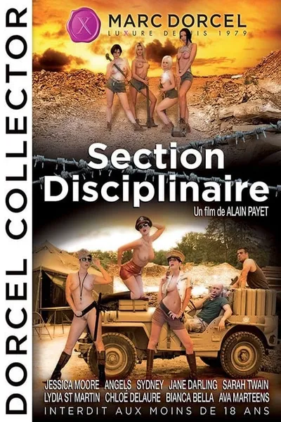 Section disciplinaire