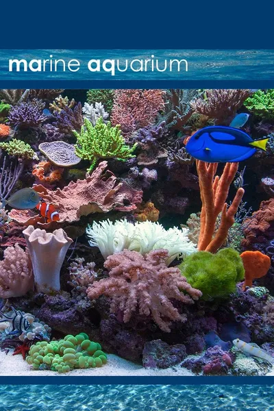 Marine Aquarium