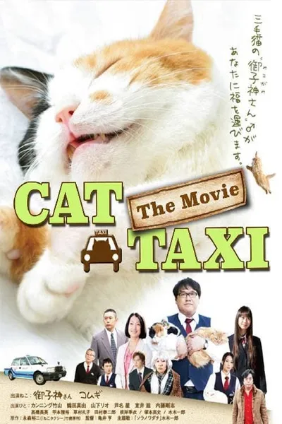 Cat Taxi