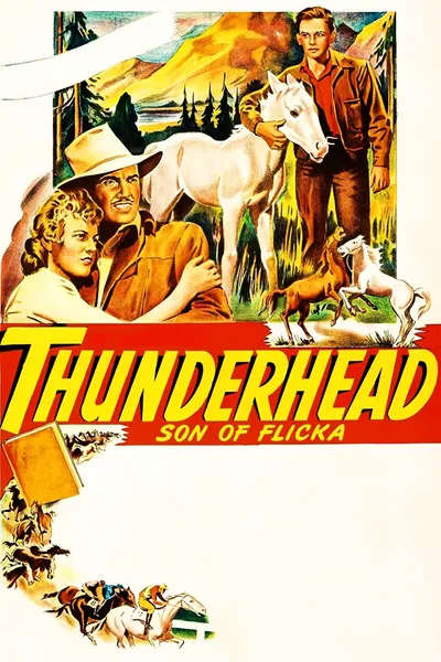 Thunderhead: Son of Flicka