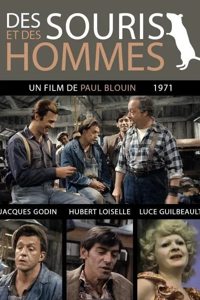 Des souris et des hommes