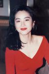 Brigitte Lin Ching-Hsia