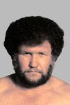 Harley Race