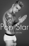 Pop Star: A Gay XXX Parody