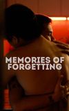 Memories of Forgetting