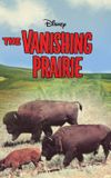 The Vanishing Prairie