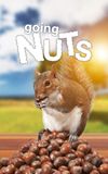 Going Nuts: Tales from the Squirrel World