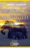 Waking the Baby Mammoth