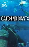 Catching Giants: Zambezi Shark