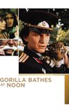 Gorilla Bathes at Noon