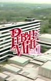 Pebble Mill at One