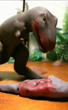 Fredz Jurassic Fight Club Claymation Style Part 1