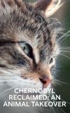 Chernobyl Reclaimed: An Animal Takeover