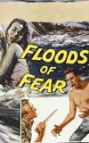 Floods of Fear