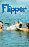 Flipper