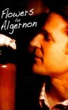 Flowers for Algernon