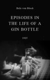 Episodes in the Life of a Gin Bottle