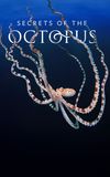 Secrets of the Octopus