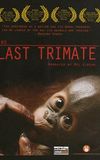 The Last Trimate