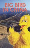 Big Bird in China