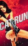 Cat Run