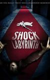 The Shock Labyrinth