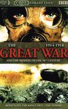 The Great War and the Shaping of the 20th Century