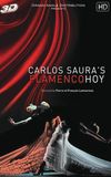 Flamenco Hoy de Carlos Saura