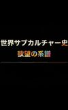 世界サブカルチャー史 欲望の系譜