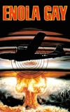 Enola Gay: The Men, the Mission, the Atomic Bomb