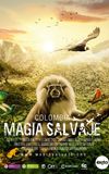 Colombia: Wild Magic