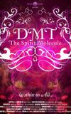 DMT: The Spirit Molecule