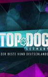 Top Dog Germany – Der beste Hund Deutschlands