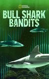 Bull Shark Bandits