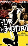 Car Cemetery