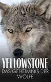 Yellowstone: The Mystery of the Wolves