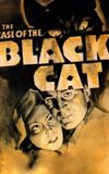 The Case of the Black Cat