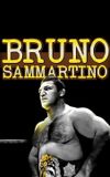 Bruno Sammartino