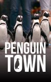 Penguin Town