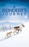 A Reindeer's Journey