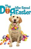 The Dog Who Saved Easter