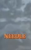 Needle